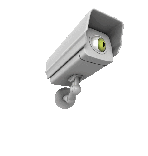 CCTV Installed Icon